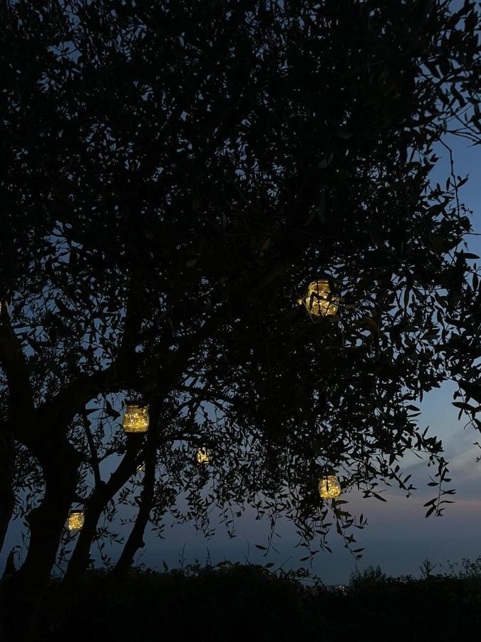 La Terrazza Sulla Versilia Pietrasanta Exteriör bild