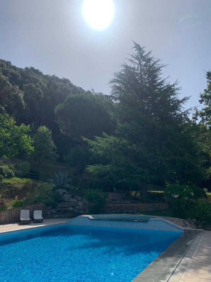 La Terrazza Sulla Versilia Pietrasanta Exteriör bild