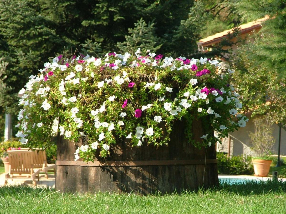 La Terrazza Sulla Versilia Pietrasanta Exteriör bild