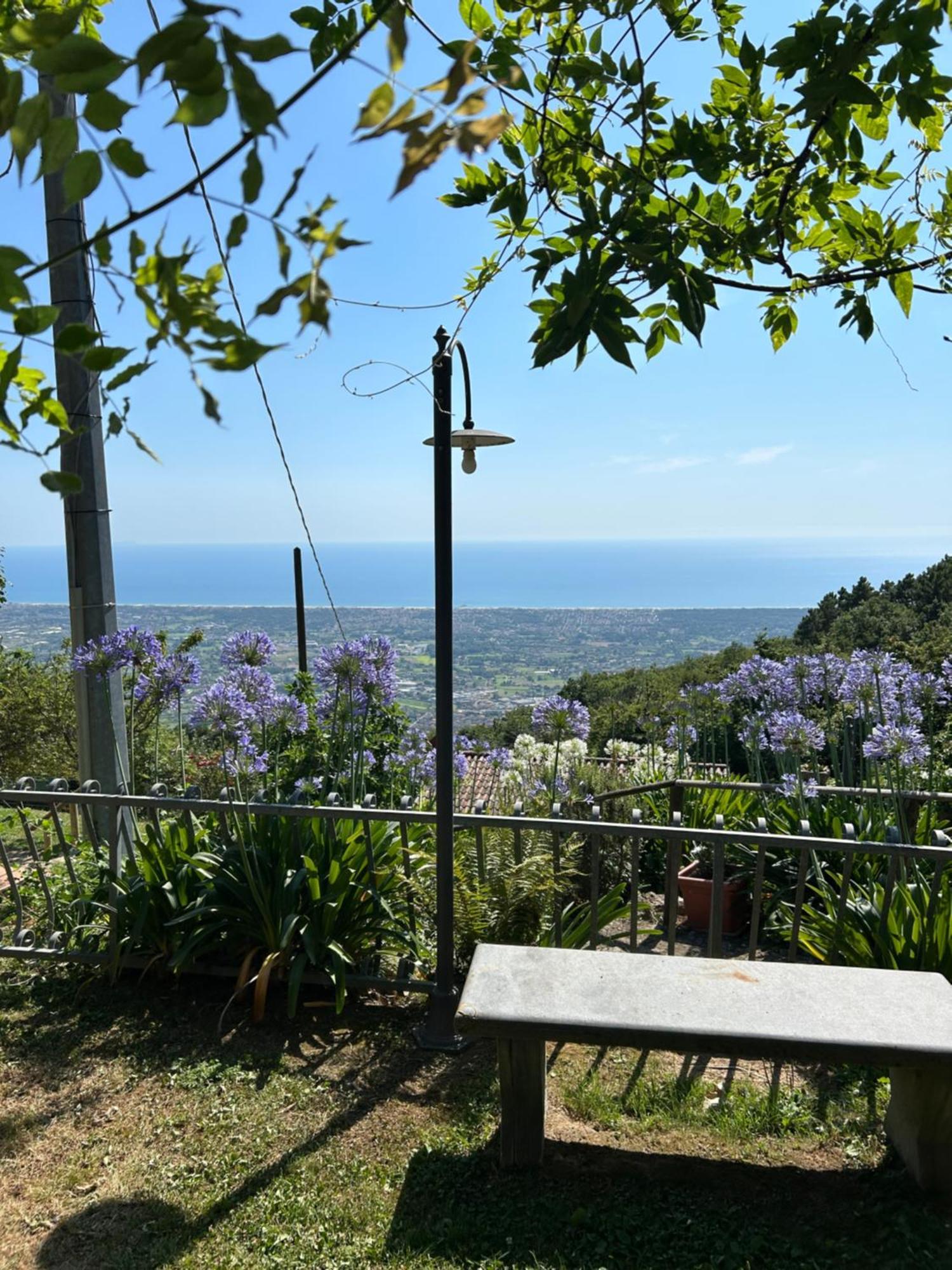 La Terrazza Sulla Versilia Pietrasanta Exteriör bild