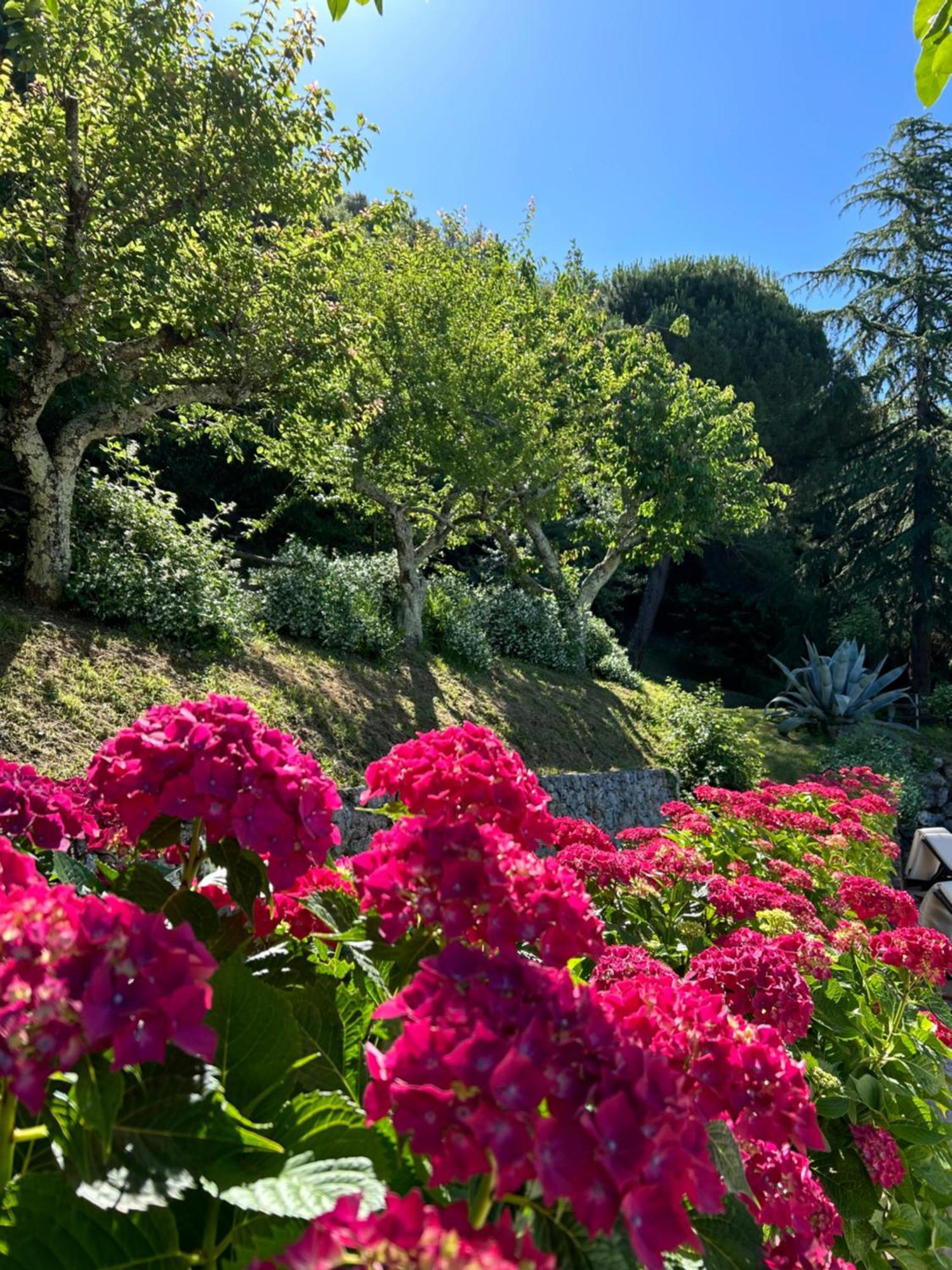 La Terrazza Sulla Versilia Pietrasanta Exteriör bild